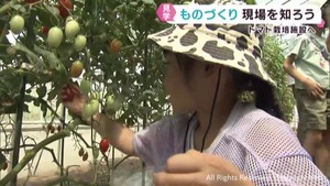 夏休みの小学生がトマト栽培施設を見学　地域産業を学ぶ　宮城・大崎市