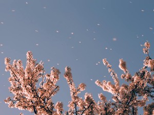 ヴァージンより一言。胸を張って堂々と、セックスについて話そう