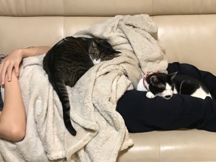 こうして寝るの好き。「俺もな」ってお兄ちゃんも言ってるかな（提供写真）