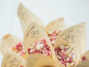 ドキドキしない彼に「婚活を始めたい」と伝えたら、結婚が決まった