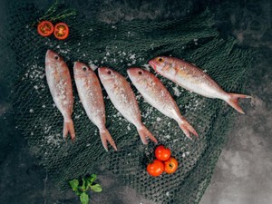 性教育は学校よりも先に生き物から学んだ。カブトムシが交尾しているのを夢中で眺めた