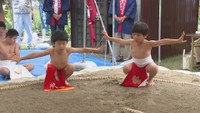 高松市牟礼町の六萬寺で行われた「田井の子供神相撲」