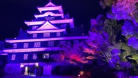 ライトアップイメージ
提供：岡山市
