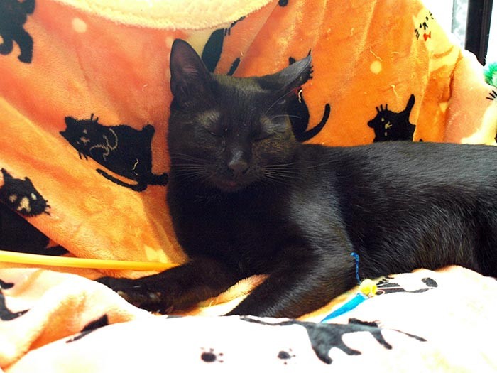 遊び疲れて、とうとう電池切れ