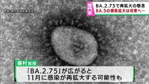 感染拡大は収束しつつもＢＡ．２．７５で再拡大の可能性　死者数増加懸念　東北医科薬科大学藤村茂教授