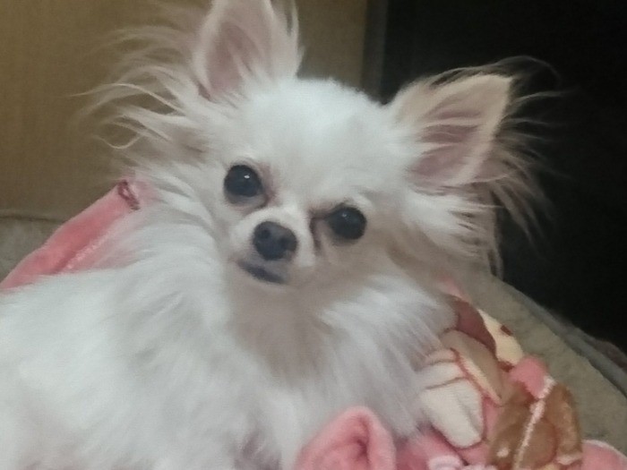 お預かり１週間後　すっかり慣れて