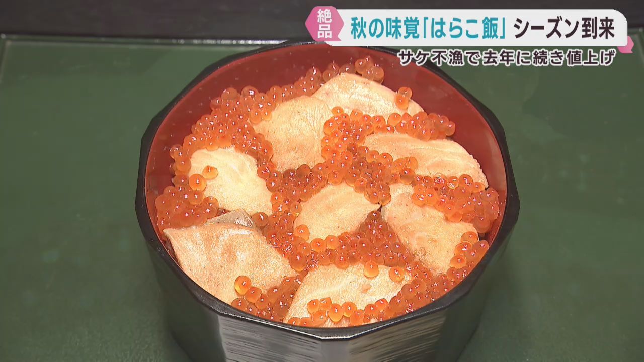 宮城県の秋の味覚はらこ飯　サケの水揚げ激減で更に値上げも