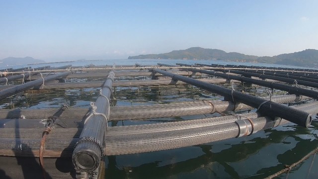 松本水産　香川県さぬき市鴨庄