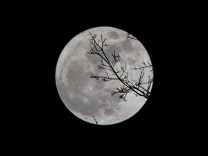 人生に寄り添ってくれた親友。あなたからの愛を誰かに返せるように