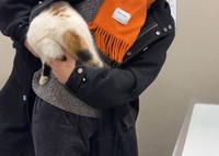 なんとしてでも逃げたい…（「猫は液体」さん提供、Xよりキャプチャ撮影）