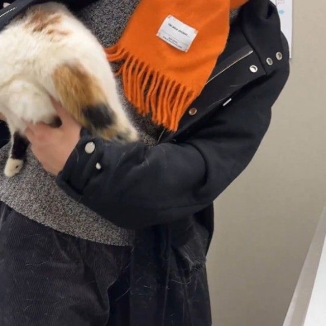 なんとしてでも逃げたい…（「猫は液体」さん提供、Xよりキャプチャ撮影）