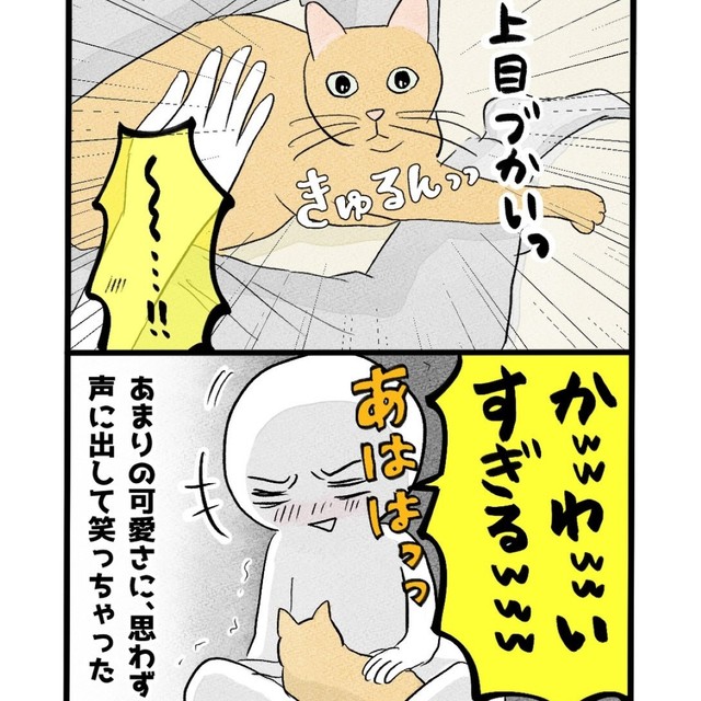 3日目にして撃沈（イゴカオリさん提供）