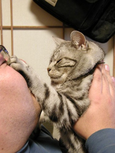 お父ちゃんのチューは断固拒否！のクリス。目にもとまらぬ速さで顔を押しのけます