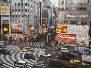 さっきまで褒められていた体と目が合い、気づいたのは現実だった