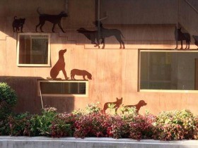 世田谷にも保護犬譲渡センター　新たな家族、見つける拠点に