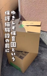 「ゆきレオ保育園」の敷地内に積み上がっていた段ボール箱（「ねこ大家」さん提供、Xよりキャプチャ撮影）