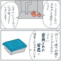 タマネギをシンク下に保管は危険（稲（いな）さん提供）