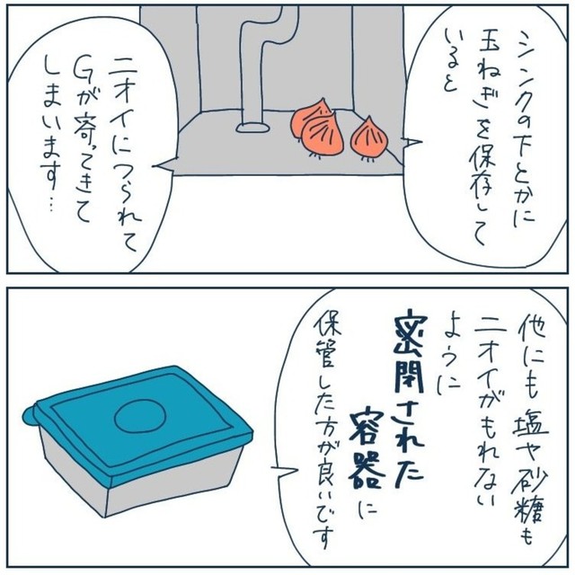 タマネギをシンク下に保管は危険（稲（いな）さん提供）