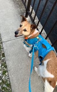 笑顔のような表情も見られるようになりました