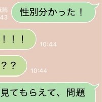 「性別分かった！」夫に報告すると… ／ハルさん（@nameko__Q）提供＝画像をトリミングしています