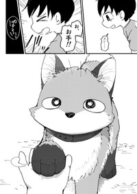 少年に初めてお手をしてくれるコン（きつねねねさん提供）