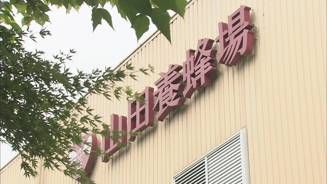 ブラジル産グリーンプロポリス　特定成分の「脳への分布」を確認　岡山理科大と山田養蜂場