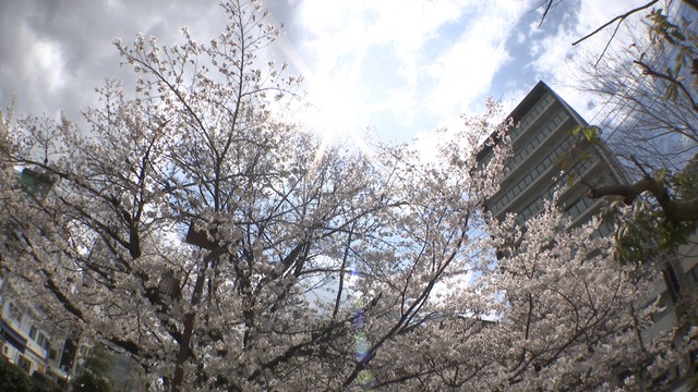 岡山県で3月の最高気温を更新　岡山市で26.7℃