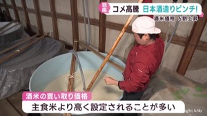 米の価格高騰で酒米の価格も高騰　宮城県の酒蔵からは悲鳴