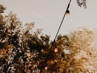 巨大イボ、骨盤にヒビ、恐怖の運転。私の秋はなぜか「トホホ」が多い