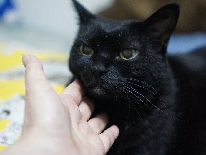 年を重ねて、今はいろいろと強く意思表示