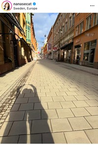 相川七瀬インスタグラム＠nanasecatより