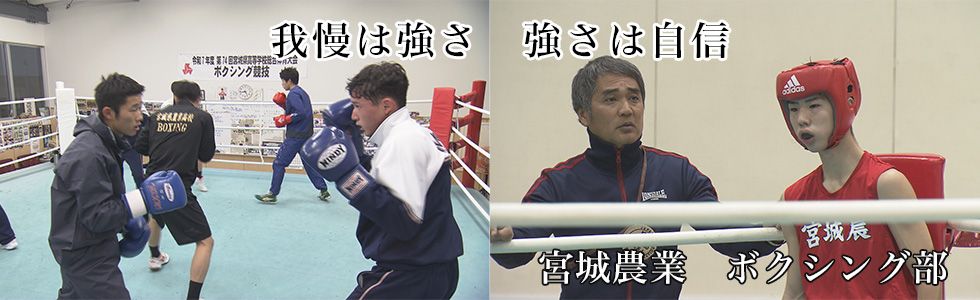 宮城農業　ボクシング部