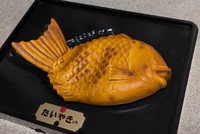 こちらが話題のおもちゃ（スペースパンダ虫さん提供）