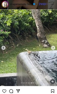 山本里菜アナウンサーのインスタグラム＠rinayamamoto_0622より