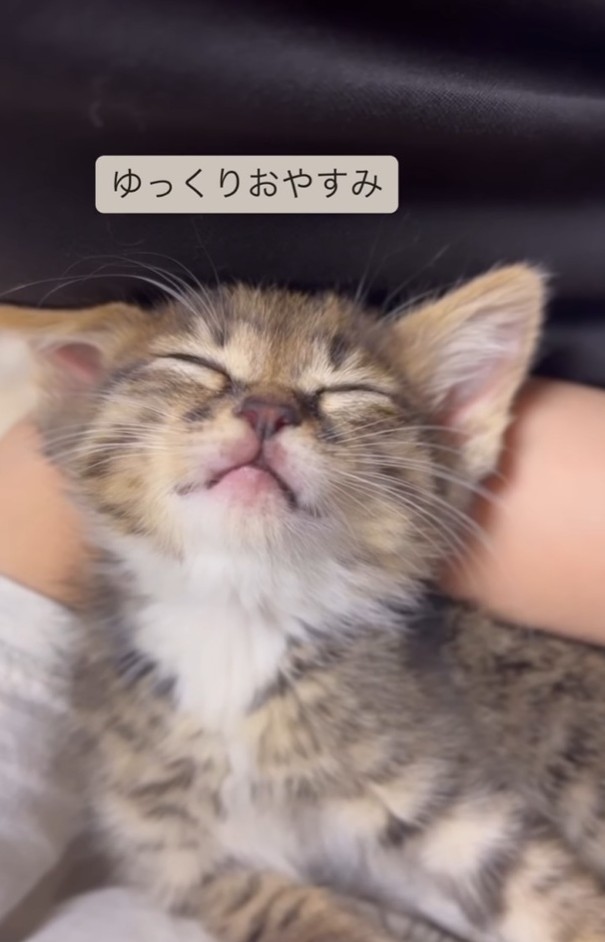 投稿主「お出かけ前の1〜2分の時間を、命を守るために使ってあげてほしい」（「あくのあ」さん提供、Instagramよりキャプチャ撮影）