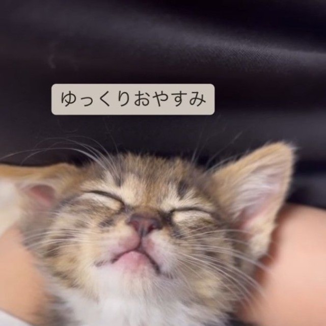 投稿主「お出かけ前の1〜2分の時間を、命を守るために使ってあげてほしい」（「あくのあ」さん提供、Instagramよりキャプチャ撮影）