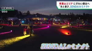 光のエンターテインメントでにぎわいづくりを　仙台・青葉山エリアでイベント