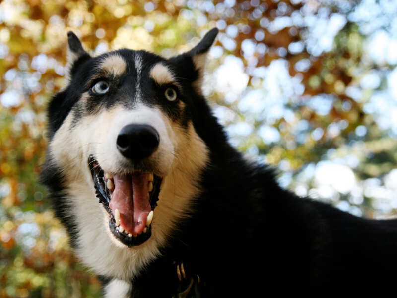 秋の代々木公園にて