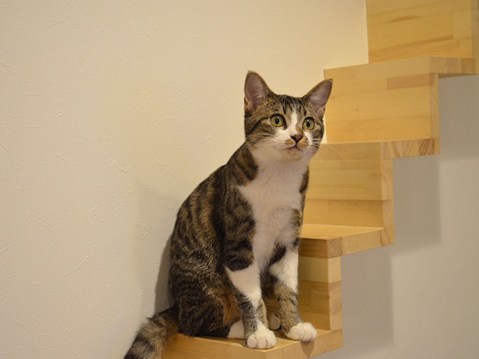 階段の途中で一休み