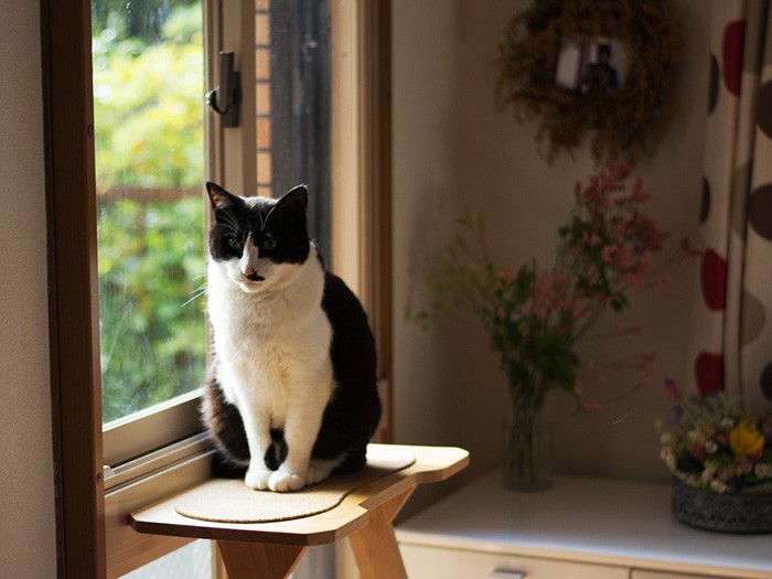 「この家さ、午後は日当たり悪いんだよね」（小林写函撮影）