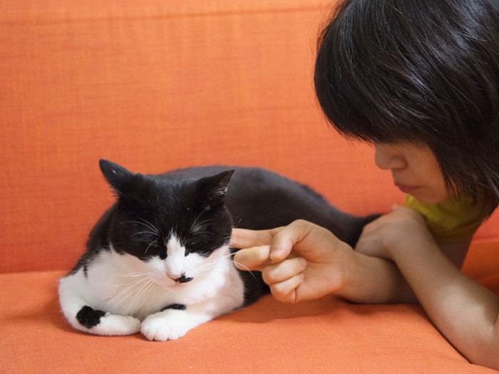 「耳掃除してくれない？」（小林写函撮影）