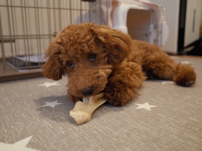 これも私のだからね（お父さん提供）