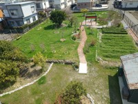 2026年2月14日にグランドオープンした、愛犬と過ごせるカフェ併設のドッグラン「GREEN TAIL CAFE」（（「GREEN TAIL CAFE」さん提供）