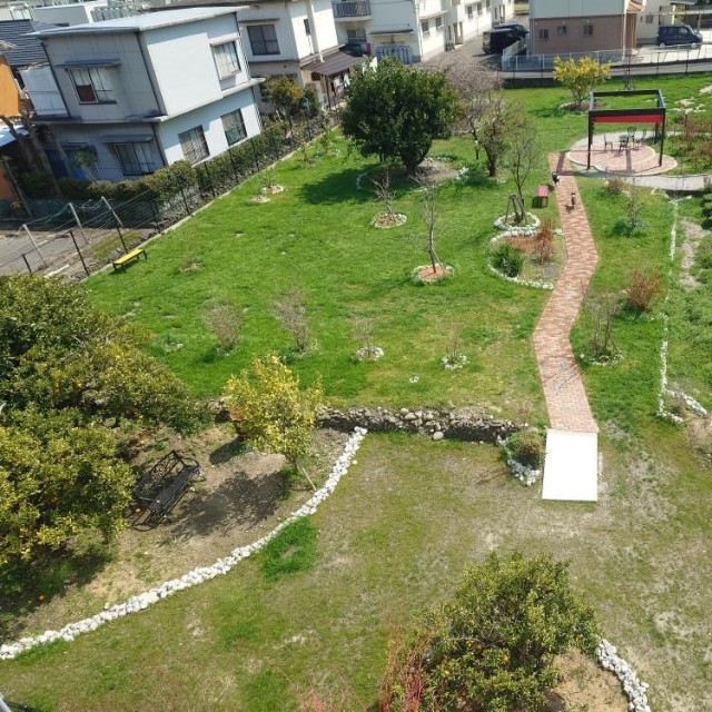 2026年2月14日にグランドオープンした、愛犬と過ごせるカフェ併設のドッグラン「GREEN TAIL CAFE」（（「GREEN TAIL CAFE」さん提供）