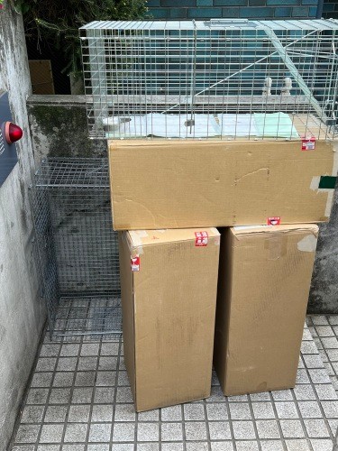 とにかく手を尽くしてありったけの捕獲器を自分でも用意（役に立たなかったけど）