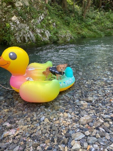 水遊びだってへっちゃら！（お母さん提供）