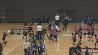 岡山市でウィメンズバレーボール大会　コロナ禍明け以降で最多の約600人が出場
