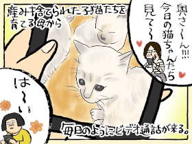 保護した子猫３匹に母性ドバァー　実家の母リツコの溺愛っぷりがヤバい