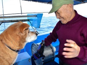 ふいに黙る愛犬　「いけるぞ」老漁師はテグスを引いた