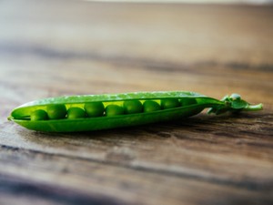 あの頃の私のちっぽけな主張。私たちは野菜なんかじゃない